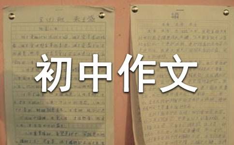 一夢十六年初中作文500字（精選22篇）