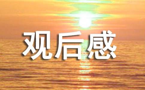 《八佰》的觀后感1000字（通用27篇）