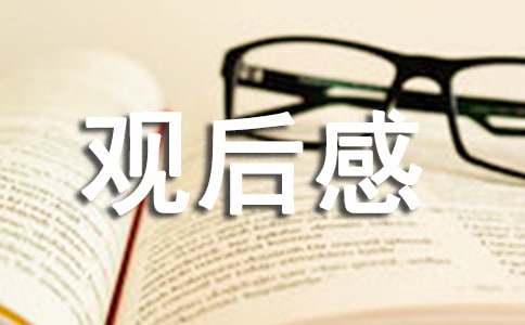 《隱于書后》經典觀后感