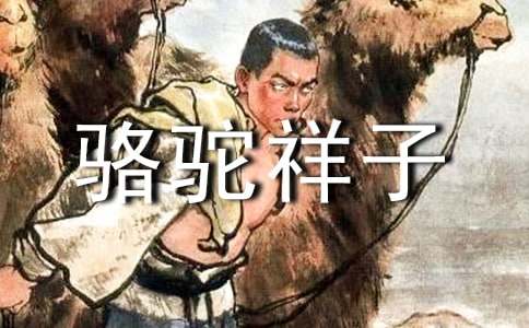 《駱駝祥子》的讀書筆記15篇