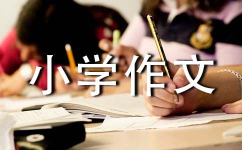 自我介紹小學作文匯編15篇