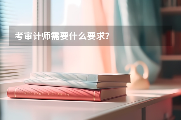 考審計師需要什么要求？