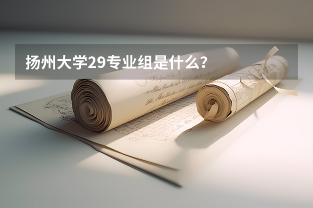 揚州大學29專業組是什么？