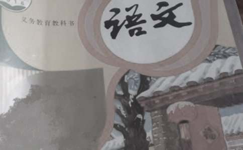 六年級(jí)語文上冊(cè)《窮人》教學(xué)反思集合5篇