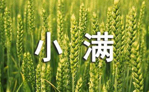 小滿經典諺語（精選50句）