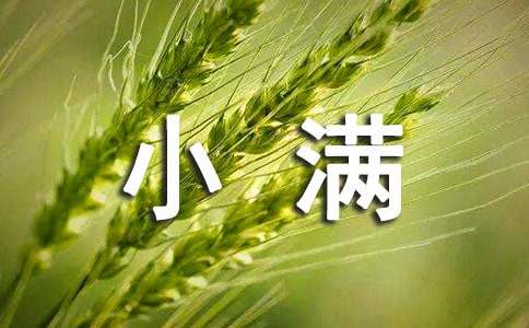 小滿節(jié)氣民間諺語(yǔ)（精選50句）